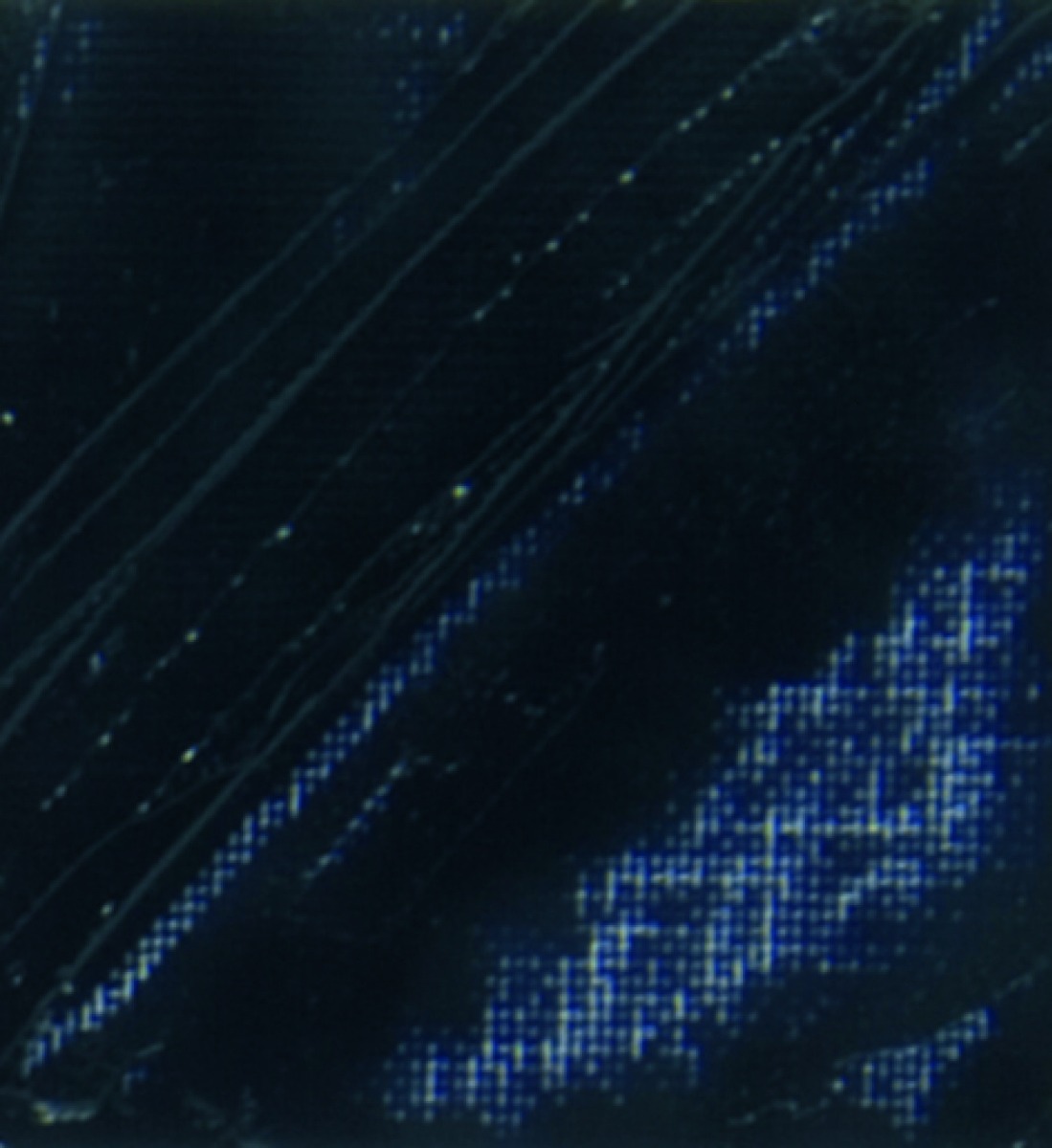 STUDIO XL FINE OIL - PAYNE GREY(45)